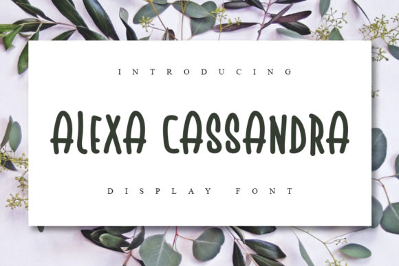 Alexa Cassandra Font for Web Design