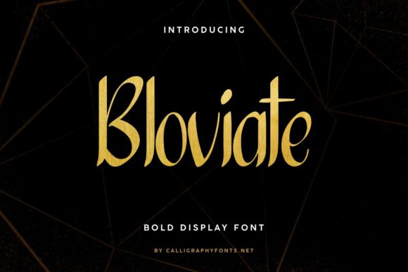 Bloviate: A Bold Display Font