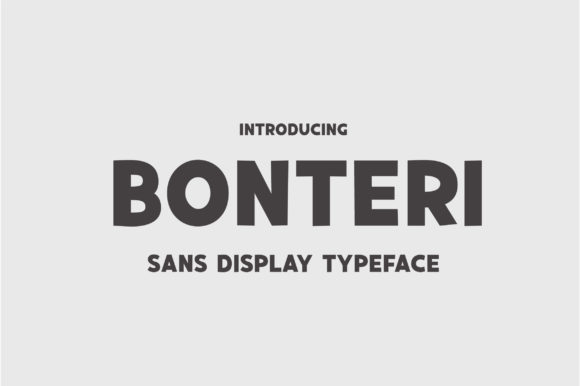 Bonteri: A Bold Font for Business