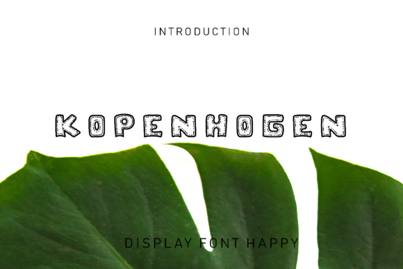 Kopenhogen: A Stylish Display Font