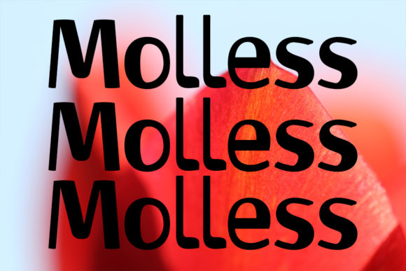 Molless: A Bold Display Font