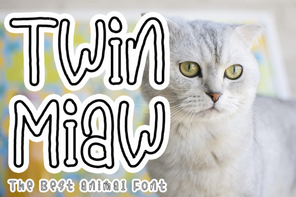 Twin Miaw: A Quirky Display Font